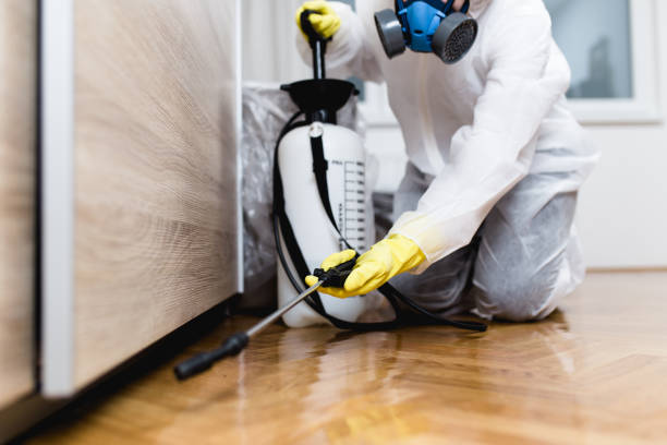 Best Exterminator Services  in Waverly, MI