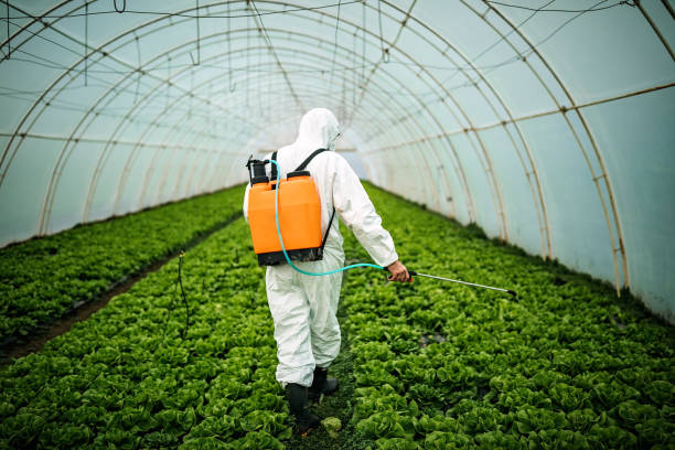 Best Pest Prevention Services  in Waverly, MI