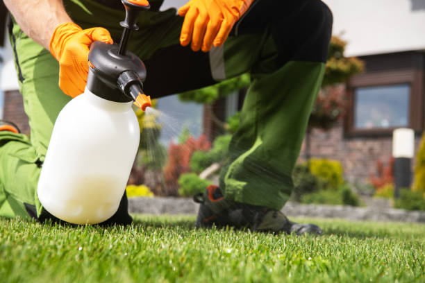  Waverly, MI Pest Control Pros