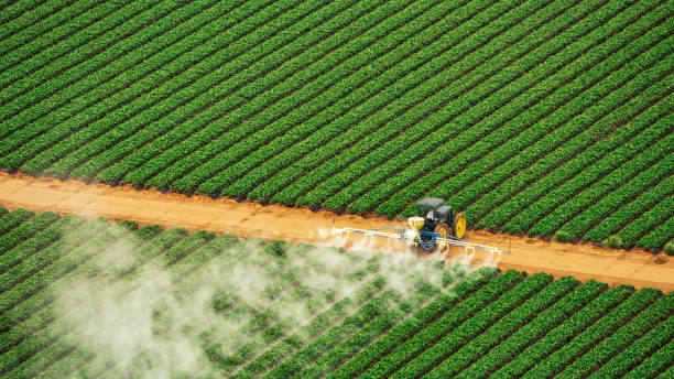 Reliable Waverly, MI Pest Control Solutions