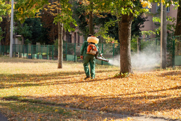 Best Pest Inspection Near Me  in Waverly, MI