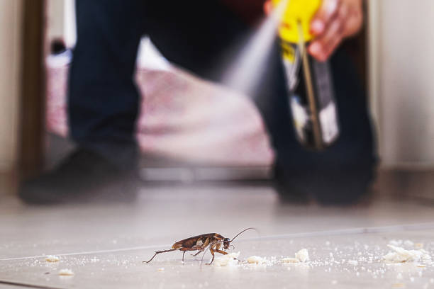 Best Flea Control Services  in Waverly, MI
