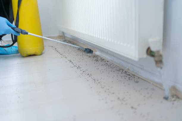 Best Residential Pest Control  in Waverly, MI