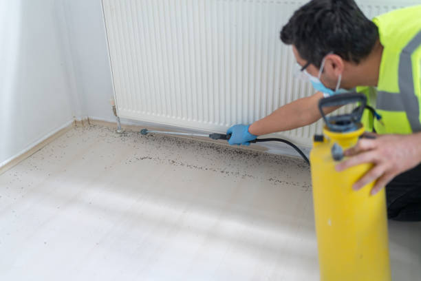 Pest Control Cost in Waverly, MI