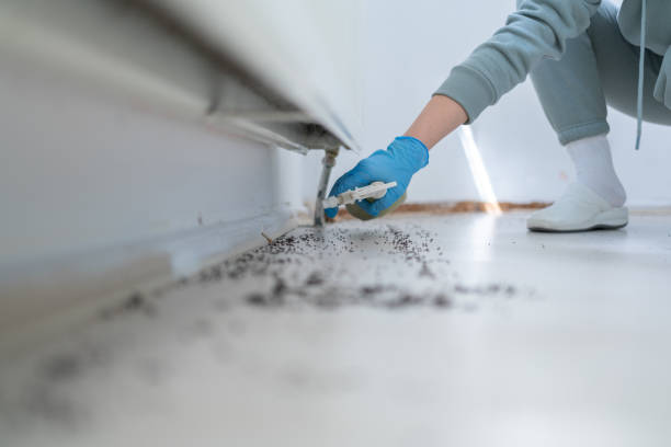 Pest Control Cost in Waverly, MI